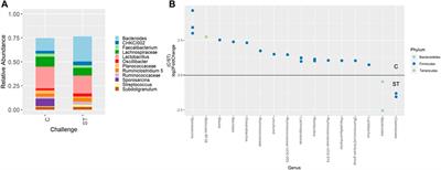 Ileal and cecal microbiota response to Salmonella Typhimurium challenge in conventional and slow-growing broilers